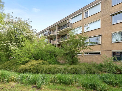Wildenborch 52