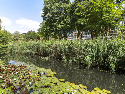 Heuvellaan 114