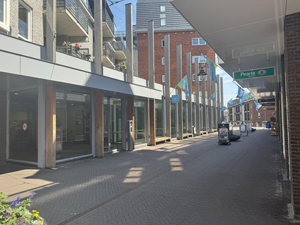 Bellevue 3