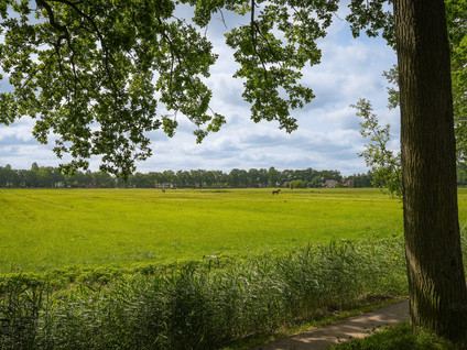 Waldeck Pyrmontdreef 34