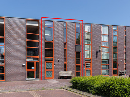 IJsbloem 1