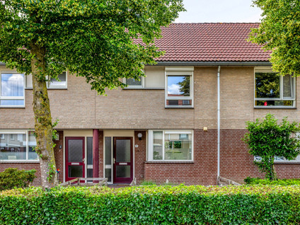 Dieze 11