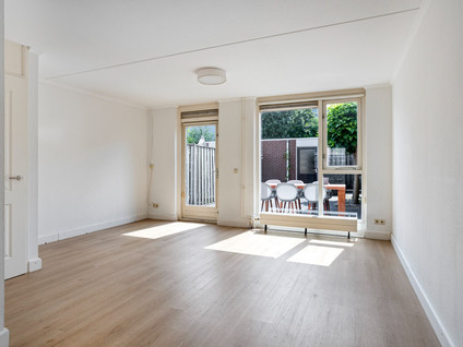 Dieze 11