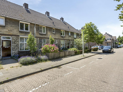 Professor Moserstraat 17
