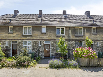 Professor Moserstraat 17