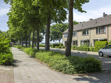 Plevierstraat 38