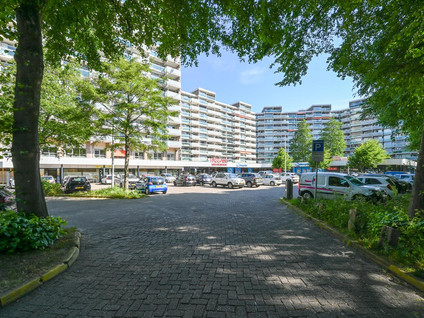 Forellendaal 92