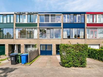 Paardebloem 11