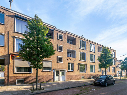 Singel 239
