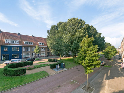 Singel 239