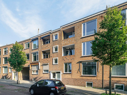 Singel 239