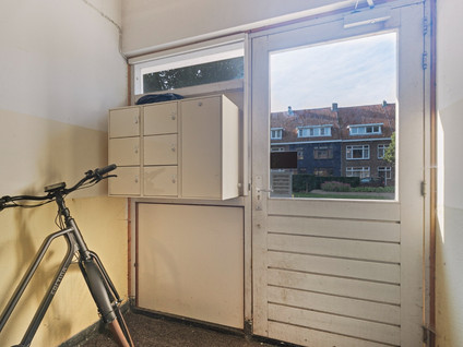 Singel 239