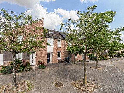Griegplantsoen 49