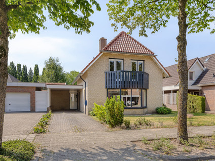 De Wulp 1