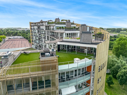 Zuidland 61