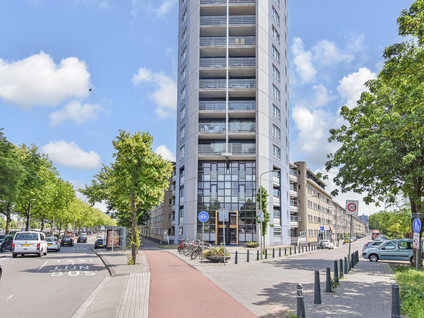 Troelstrakade 37