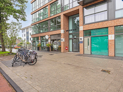 Mangoweg 325