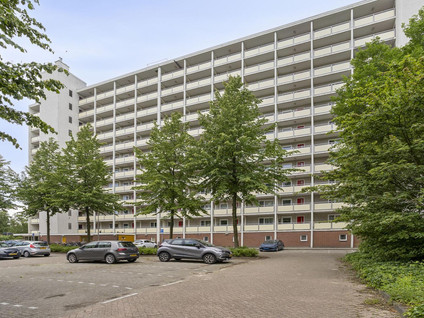 Jisperveldstraat 207