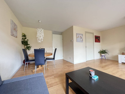 Pijlstaartvlinder 33