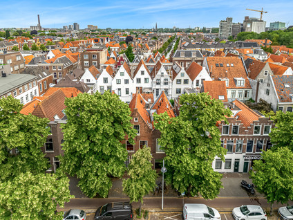 Levendaal 162A