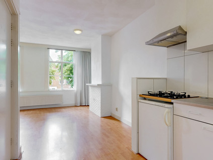 Levendaal 162A