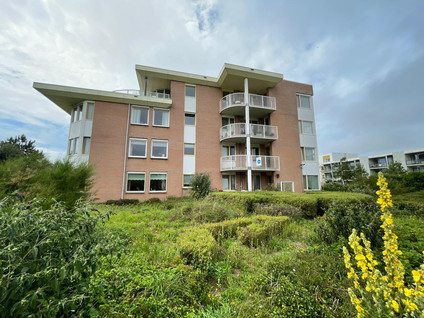 Groot Hoogwaak 219