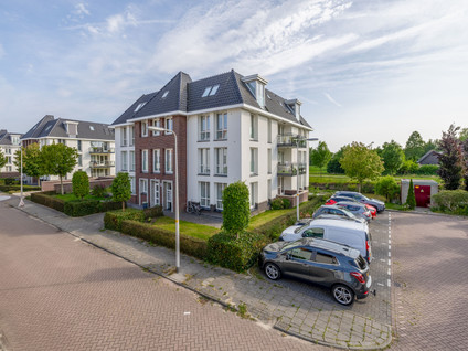 Noorderlicht 35
