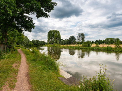Rijnseweg 8