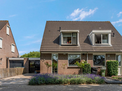 Adriaan van Ostadestraat 12