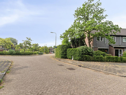 De Boskamp 1