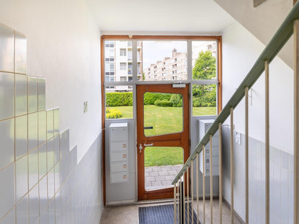 Smaragdhorst 251