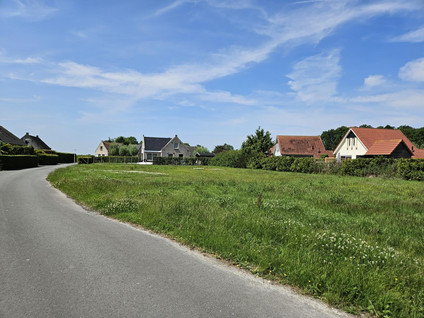 Bargereed 33 