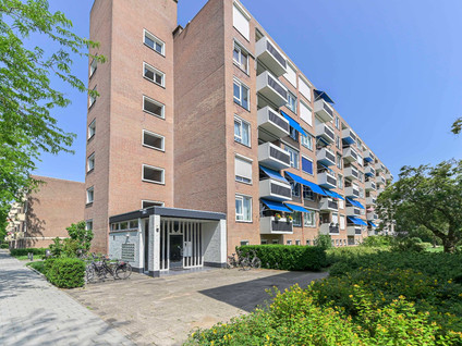 Albert Cuypstraat 216