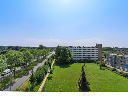 Albert Cuypstraat 216
