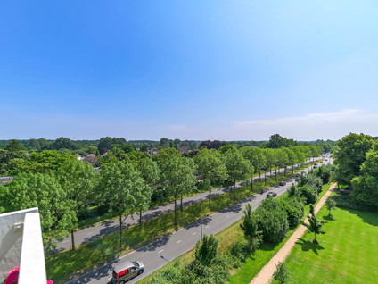 Albert Cuypstraat 216