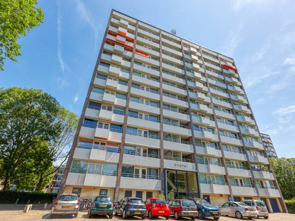 Roggekamp 289