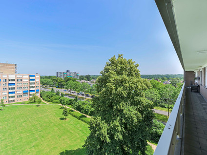 Albert Cuypstraat 216