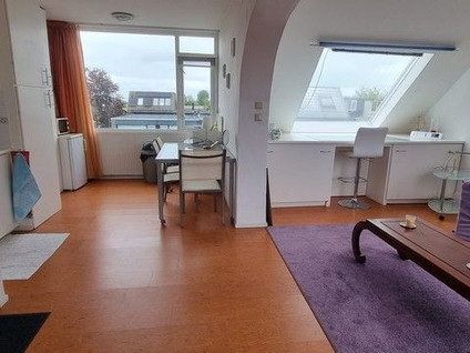 Roerdompstraat 60