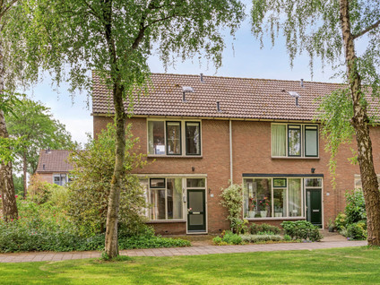 Nijenrode 7