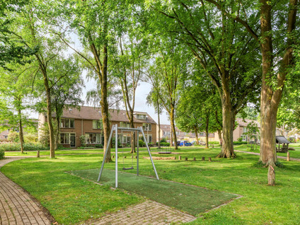 Nijenrode 7