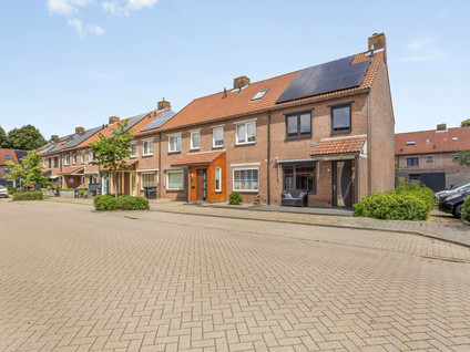 Hoefblad 53
