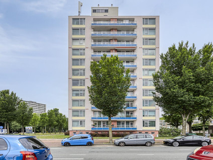 Schoutendreef 381
