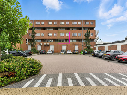 Nedersassen 8