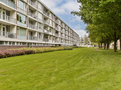 Zwingliweg 79