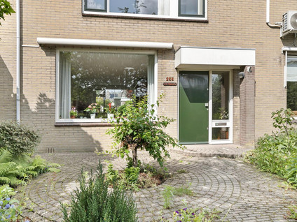Ghijseland 255