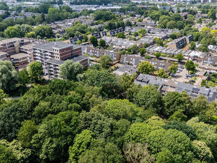 Platschelpenbank 2