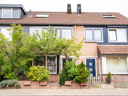 Mossel 34