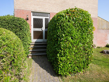 van Thimusstraat 3