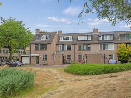 Satijnvlinder 3