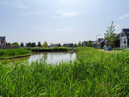 Boomgaard 37